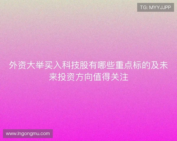 外资大举买入科技股有哪些重点标的及未来投资方向值得关注 外资大举买入科技股有哪些重点标的及未来投资方向值得关注